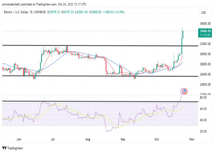 btcusd-daily-chart