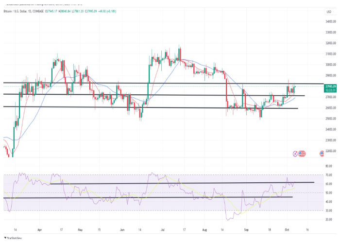 btcusd-daily-chart